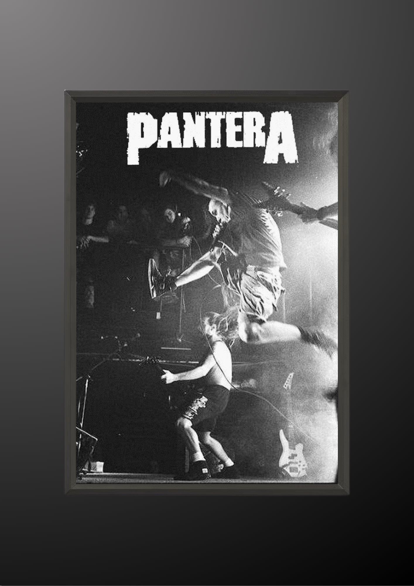 Pantera Poster