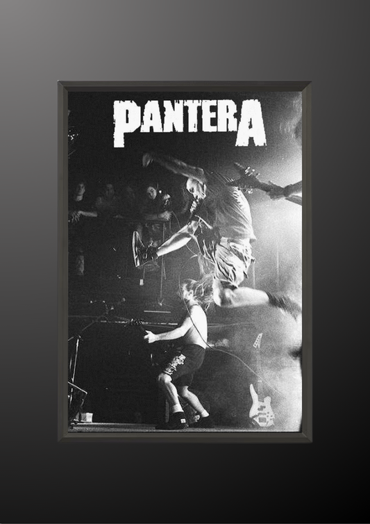 Pantera Poster